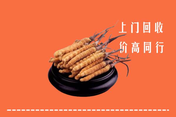 高价求购：邕宁区回收散虫草
