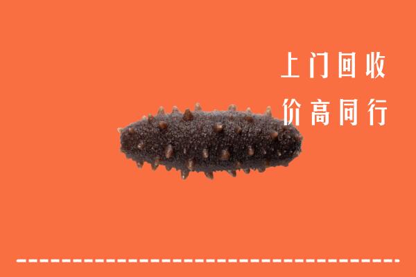 高价求购：邕宁区回收海参