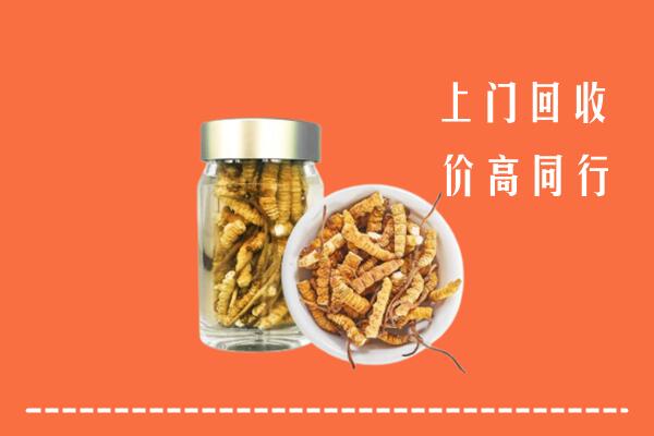 邕宁区回收冬虫夏草
