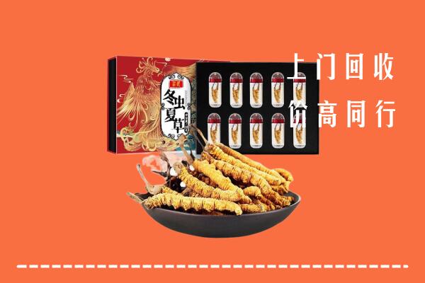 邕宁区回收虫草